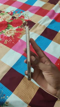 vivo v23 5g official pta box nhain ha 34k final