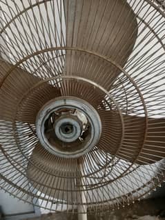 10 by 10 condition  Pedestal fan