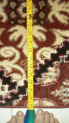 carpet for sell