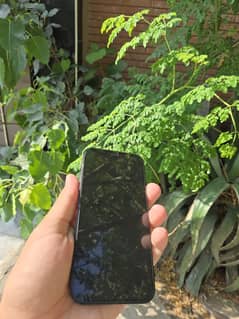 IPhone 12 Jv