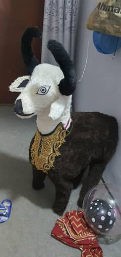 bakra