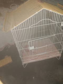 bird cage