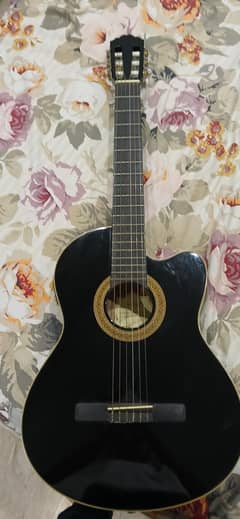 Selling my Greg Bennett Guitar
