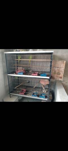 Parrot cage