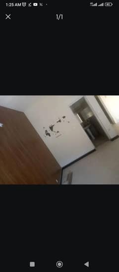 looking for Maid Female