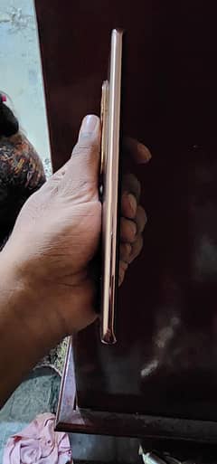 vivoe