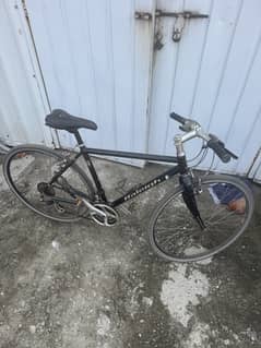 Raleigh Hybrid Bike