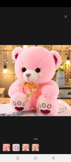 teddy