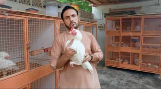 MIANWALI