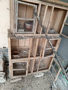 breeding cage for sale