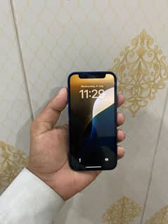 12 mini non pta