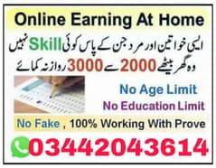 Online work/ Assignment work/data entry