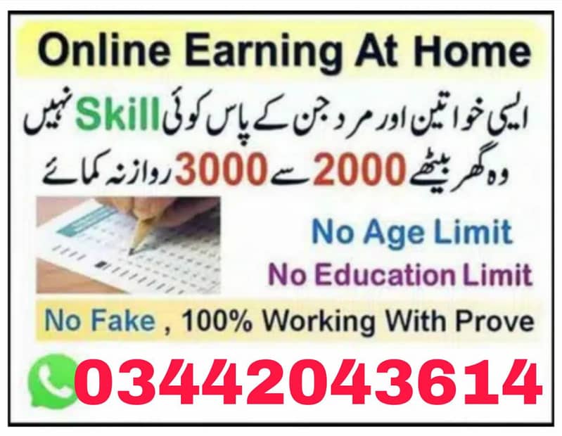 Online work/ Assignment work/data entry 0