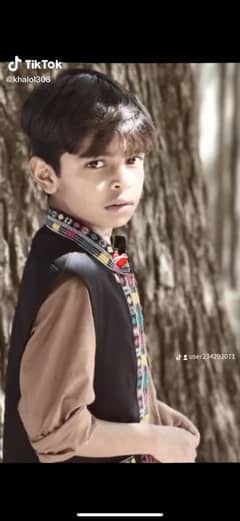 Hamid
