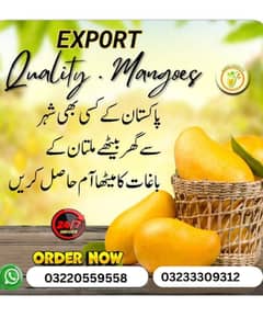 Multan ka mitha chunsa aam available for gift box price 2500 12kg box