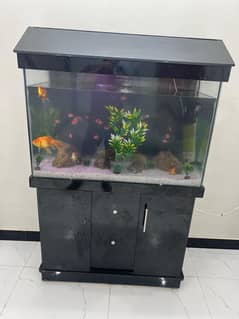 fish