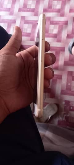 Iphn