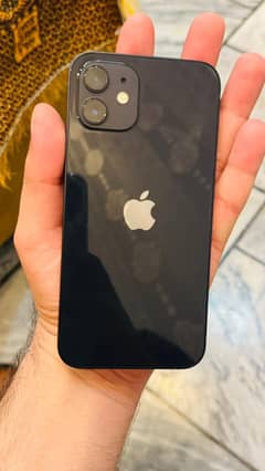 iPhone 12