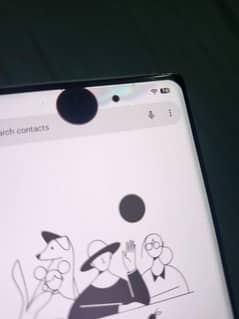 pixel 6 pro