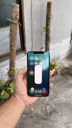 12 Pro Max Dual PTA 256gb