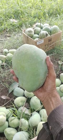 large