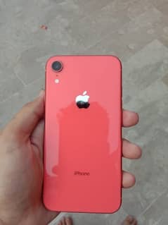 iPhone xr jv