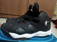qiaodan shoes