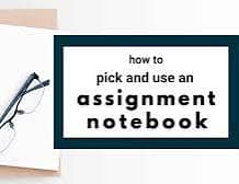Assignment writer