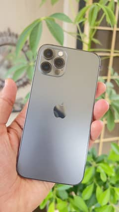 Iphone 12 pro