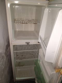 Fridge medium size