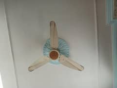 Chenab ceiling fans