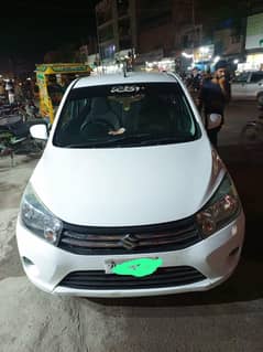 Suzuki cultus