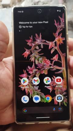 Google pixel 6 official pta approved good condition a