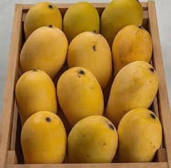 Mangoes from Multan – Taste the Royal Sweetness