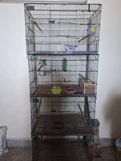 2 by 3 ft love cage for sell. . . . quality is good 