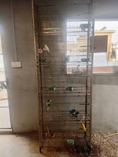 Cage