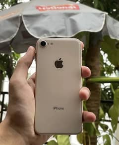 iPhone 8 256gb non pta 03167705985 WhatsApp