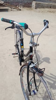 bridgston japani  cycle