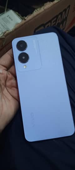 vivo