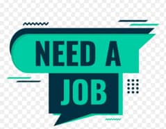 Electration, Driver, Plumber , Home caretaker, computer work