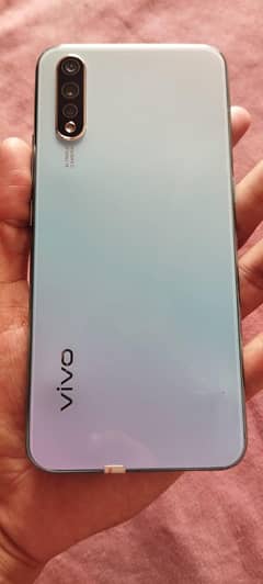 vivo