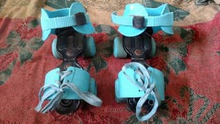 footwear bearring shoe