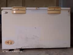 D freezer
