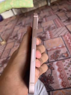 watsapp only