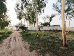 Buy A Prime Location Farm House Of 5 Kanal In Kala Khatai Road