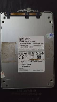 (SSD)