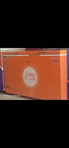 Gourmet freezer for sale