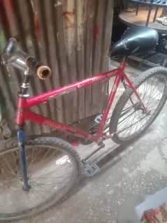 cycle
