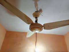 ac DC fan
