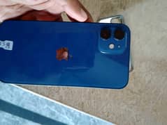 iohone 12